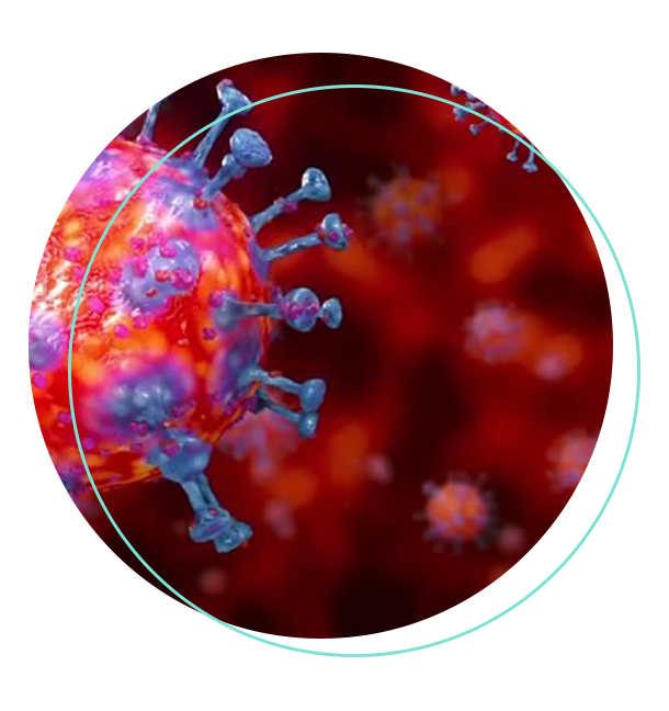 Ch que refora a imunidade