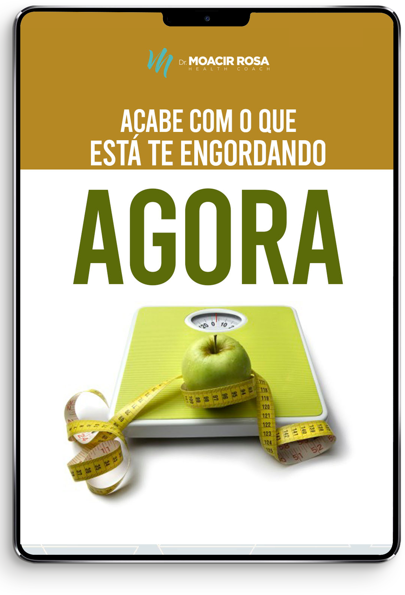 E-book Acabe com o que est te engordando
